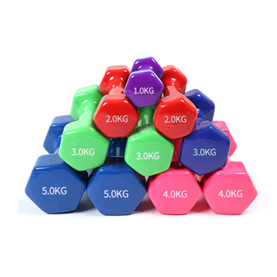 Hexagonal Cast Iron Hex Karet Dumbbells